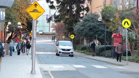 people and car at a pedestrian crossing