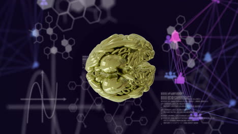 animación de la red de conexiones a través del cerebro digital y el procesamiento de datos