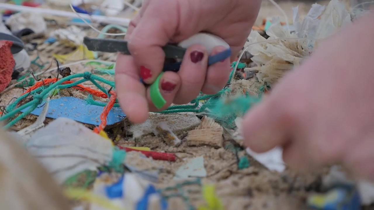 Relawan membersihkan pantai dari sampah laut, polusi plastik. Tampak dekat.