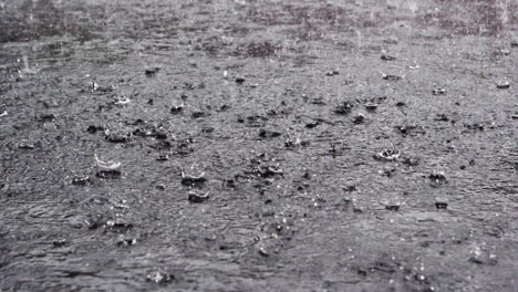 On-a-dark-afternoon-a-heavy-rain-shower-disturbs-the-peaceful-puddle-and-almost-floods-the-parking-lot