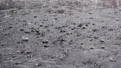 en una tarde oscura una fuerte lluvia perturba el tranquilo charco y casi inunda el estacionamiento