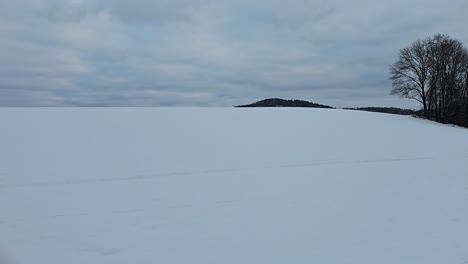 winter wonderland – snow-covered landscape in natural surroundings