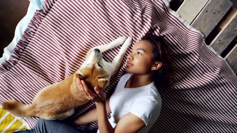 top view of attractive african american woman stroking beautiful shiba inu dog lying on bed together at home. young people, domestic animals, happiness and love concept.