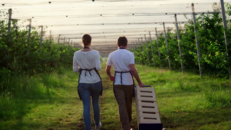 couple farmers monitoring cultivation harvest in summer plantation greenhouse.