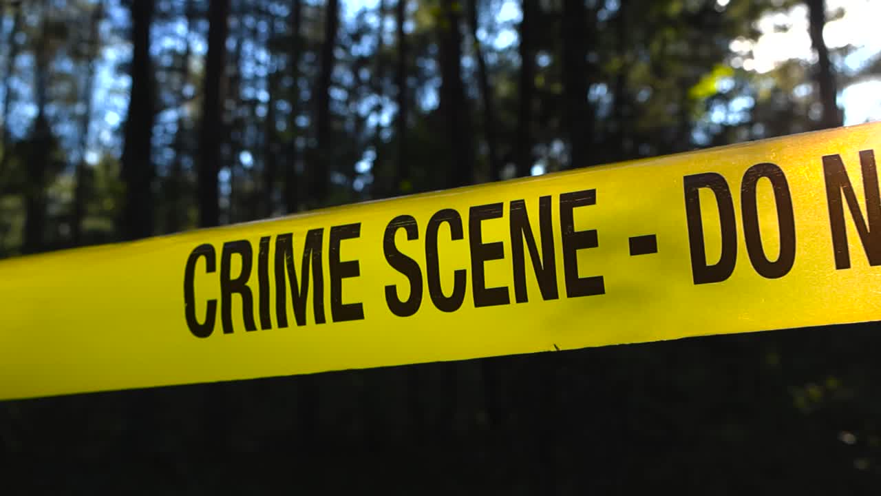 Close up low angle view of a yellow colored police Crime Scene forensics investigation tape in a dark forest backlit by sunlight while tall bokeh blurry trees and blue sky is visible in the background