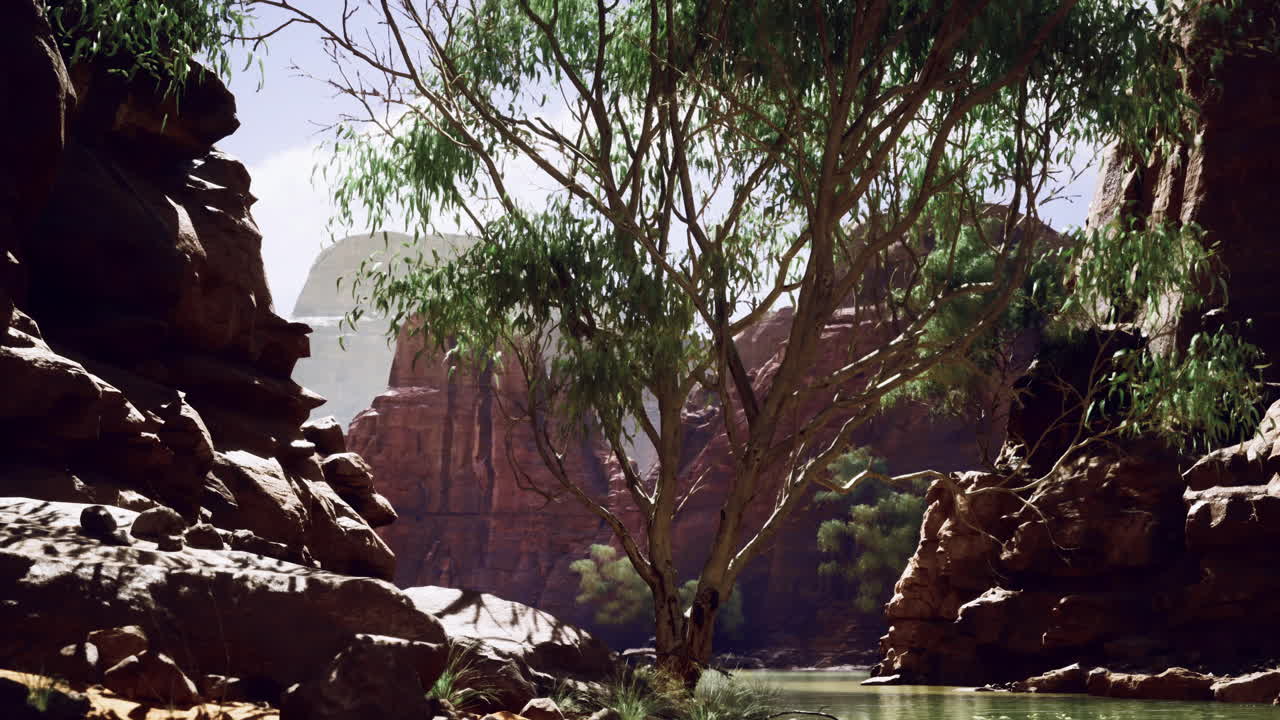 Serene river landscape with a prominent tree amidst rocky formations
