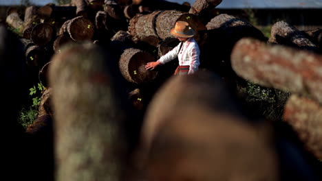 romanian girl walks through the cut trees 2