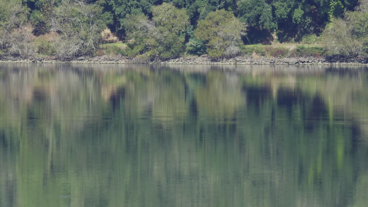 Rowing team training as a team in a reservoir