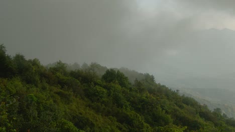 misty forested mountainside landscape