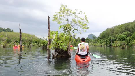 person kayaking in lush, serene krabi waters