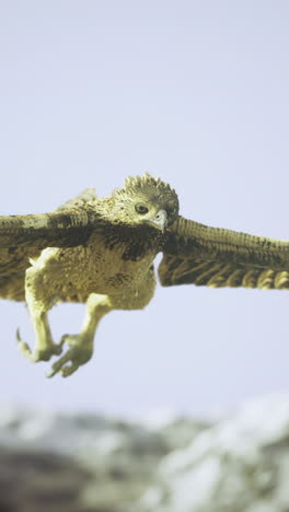 majestic hawk in flight over rocky landscape during clear blue sky
