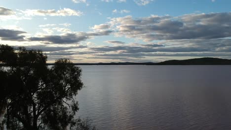 -Flying-past-a-tree-to-reveal-a-beautiful-lake-full-of-water