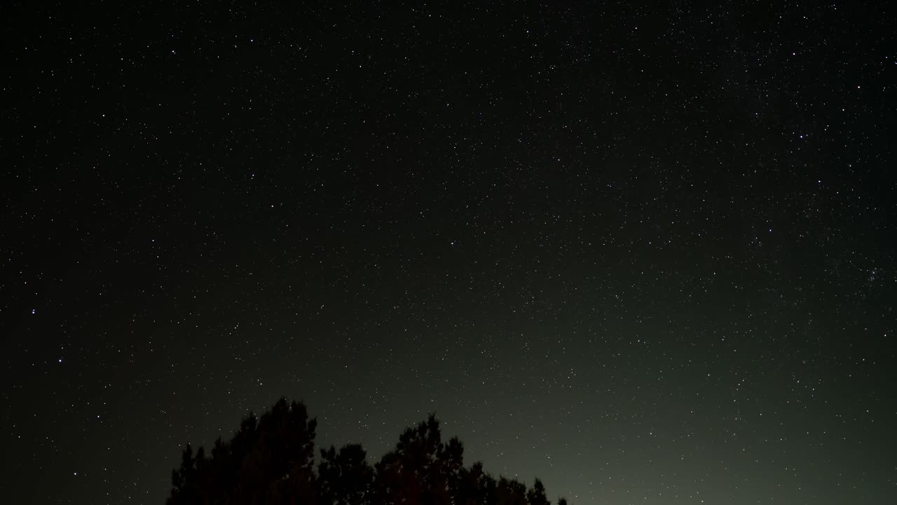 지구가 회전할 때 별들이 회전하는 나무 위에 있는 폴라리스. 그 다음에는 원형의 별 흔적이 시간 경과로 나타납니다.