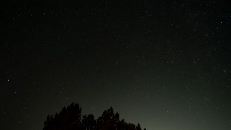 Polaris-über-Einem-Baum-Mit-Rotierenden-Sternen,-Während-Sich-Die-Erde-Dreht-Und-Dann-Kreisförmige-Sternspuren-Im-Zeitraffer-Zeigt