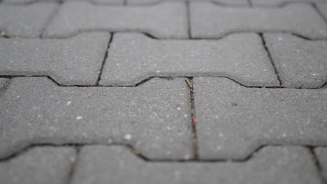 Snowflakes-falling-on-a-pavement-flags-in-slow-motion