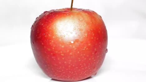 a realistic red apple with a smooth surface and a small stem on top, isolated on a white background
