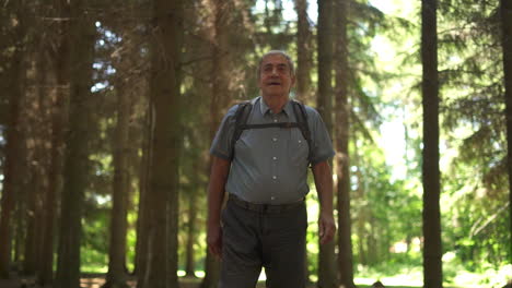 a man hikes through a forest