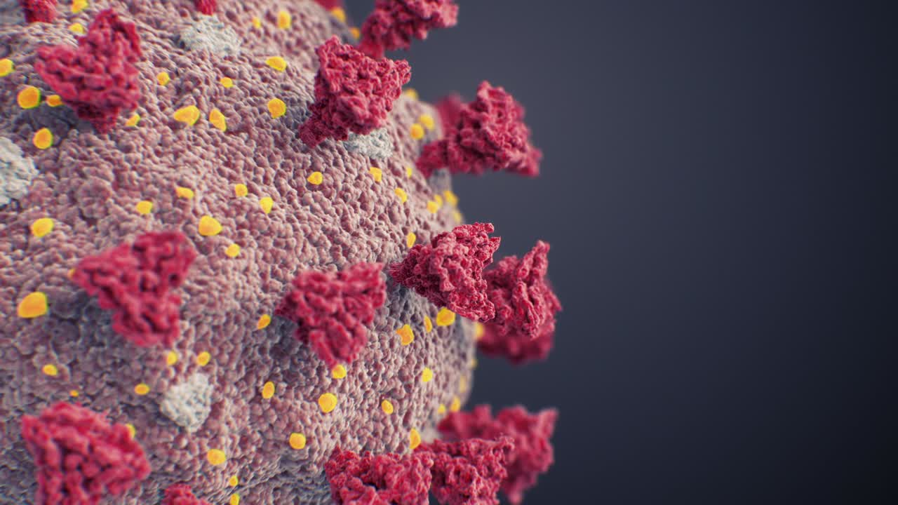 ilustración de modelo científico de primer plano extremo del coronavirus covid-19 sin costuras. animación en 3d en bucle del virus de la corona chino 2019-ncov en fondo negro concepto médico.