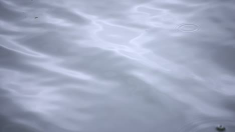 a slow motion of rain drop in the water the pond rainy day closeup