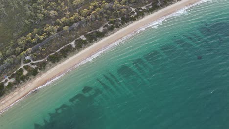 coles bay and beach, tasmania in australia