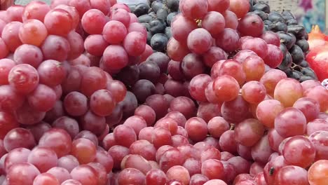 uvas rojas y azules