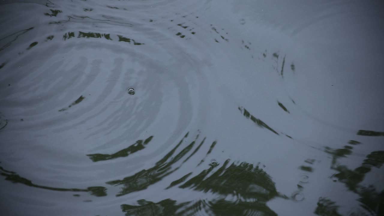 un movimiento lento de la gota de lluvia en el agua el estanque primer plano de un día lluvioso