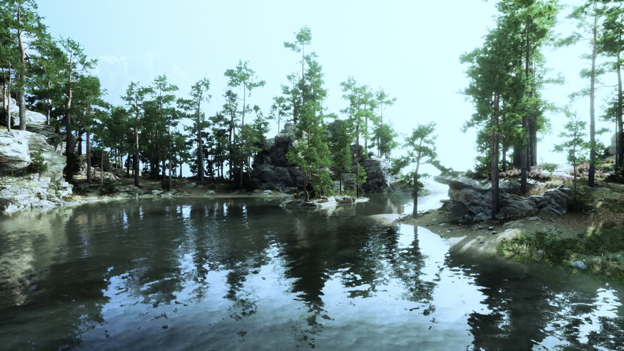 평화로운 숲 호수 풍경