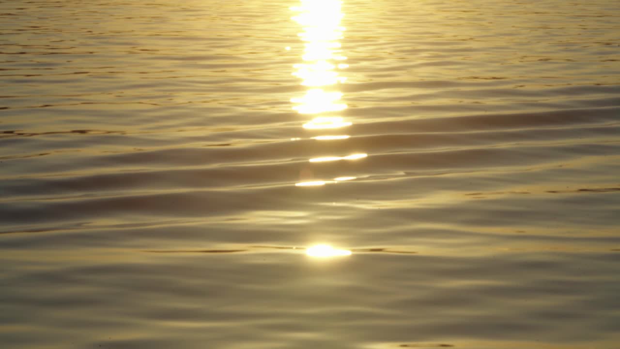 바다 표면에 반짝이는 황금빛 햇빛 반사, 졸졸 흐르는 파도