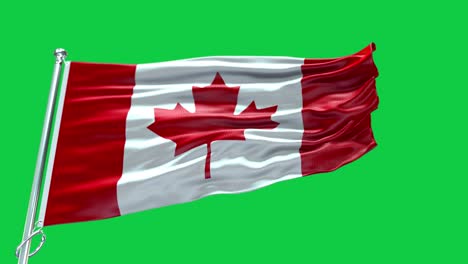 4k highly detailed flag of canada - canada flag high detail - national flag canada wave pattern loopable elements