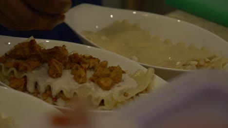 trozos de pollo espolvoreados a mano encima de lasaña
