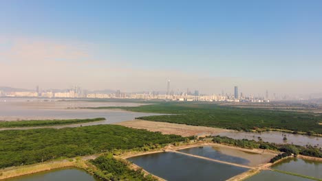 hong kong and shenzhen border line over hong kong rural houses with shenhzen skyline in the horizon, aerial view