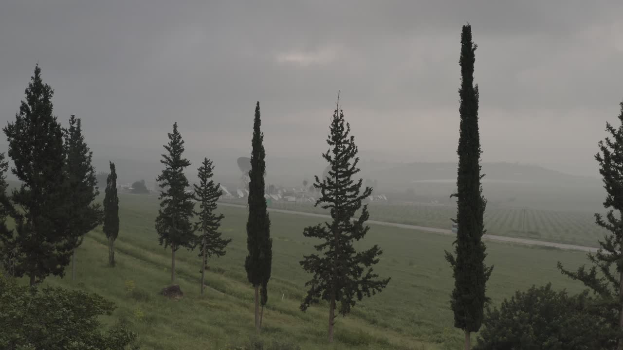 спутниковые антенны и деревья в туманном ландшафте