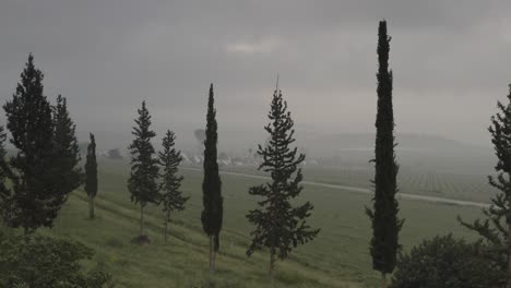 antenas parabólicas y árboles en un paisaje de niebla