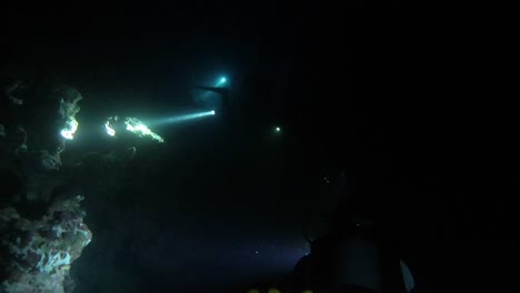 dos grupos de buzos nocturnos se encuentran y se saludan entre sí con señales de luz.