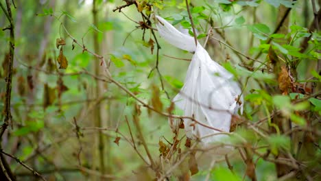 Bolsa-De-Plástico-Atrapada-En-Un-árbol-En-Un-Bosque-Verde,-Tirando-Basura-En-La-Naturaleza