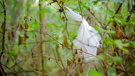 plastic bag stuck in a tree in a green forest, littering in nature
