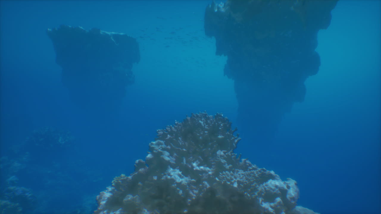 impresionante vista bajo el agua de un arrecife de coral