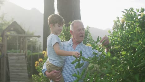 Älterer-Kaukasischer-Mann,-Der-Seinen-Enkel-Trägt-Und-Zeit-Im-Garten-Verbringt