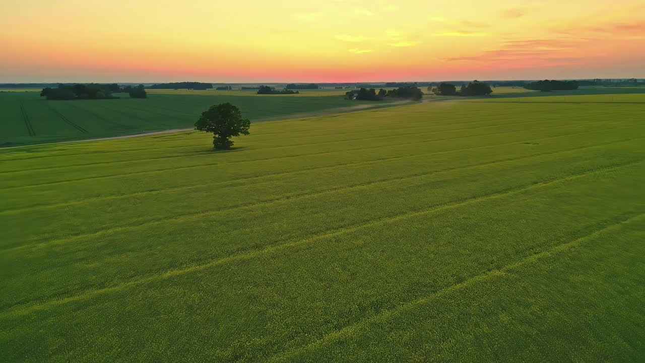 красивый вид с воздуха на сельскохозяйственный ландшафт при заходе солнца с золотым горизонтом