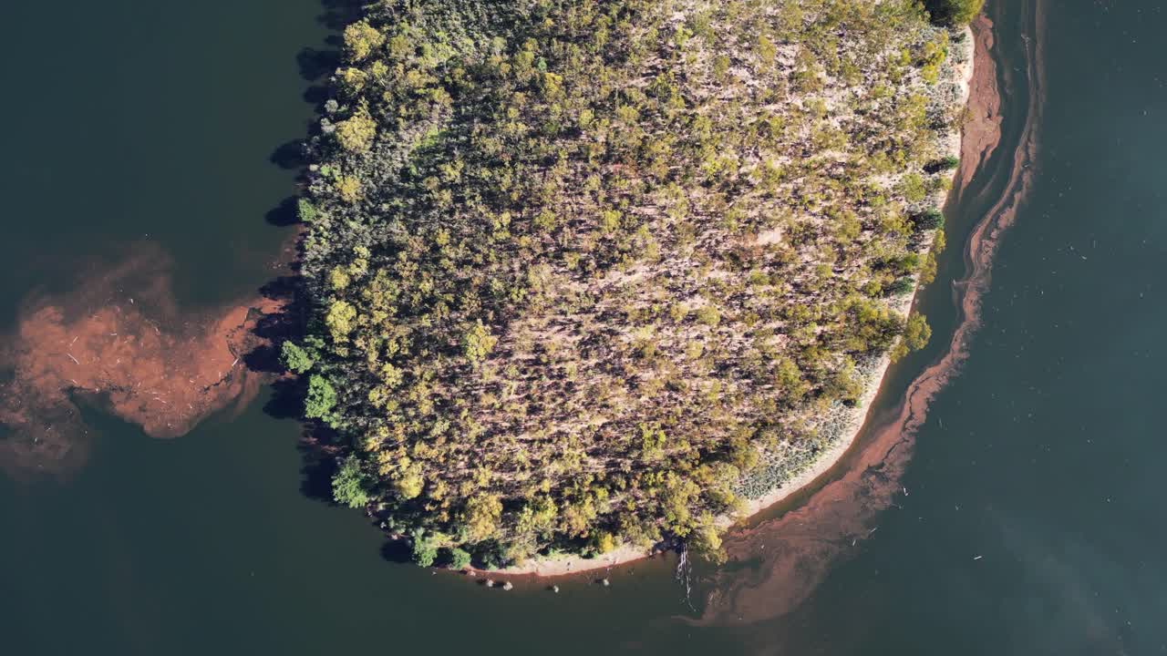 Vista aerea dall'alto di un'isola coperta di alberi circondata da acque calme con visibili formazioni di sedimenti. Adatta per studi ambientali e analisi geografiche.