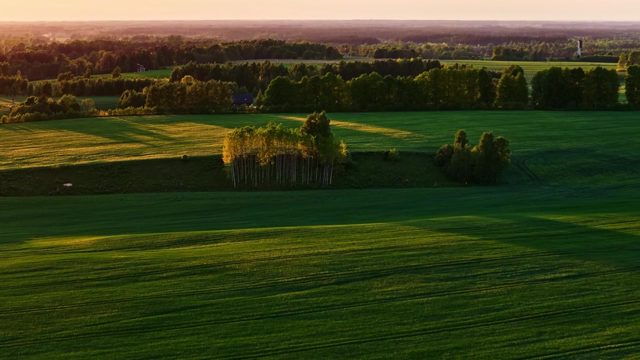 Dramatic aerial panorama of lush green fields with long tree shadows at sunset in summertime