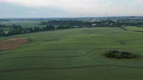 Arrojarse-Sobre-El-Paisaje-En-El-Campo-De-Trigo-Alemán