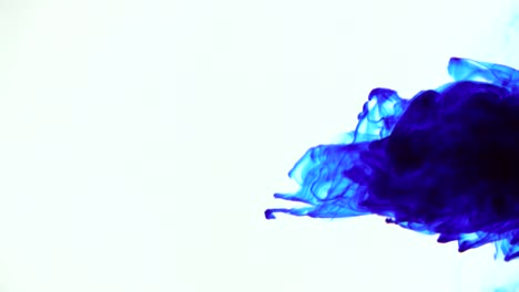 tinta azul girando en un patrón de espiral a través de la pantalla sobre un fondo blanco