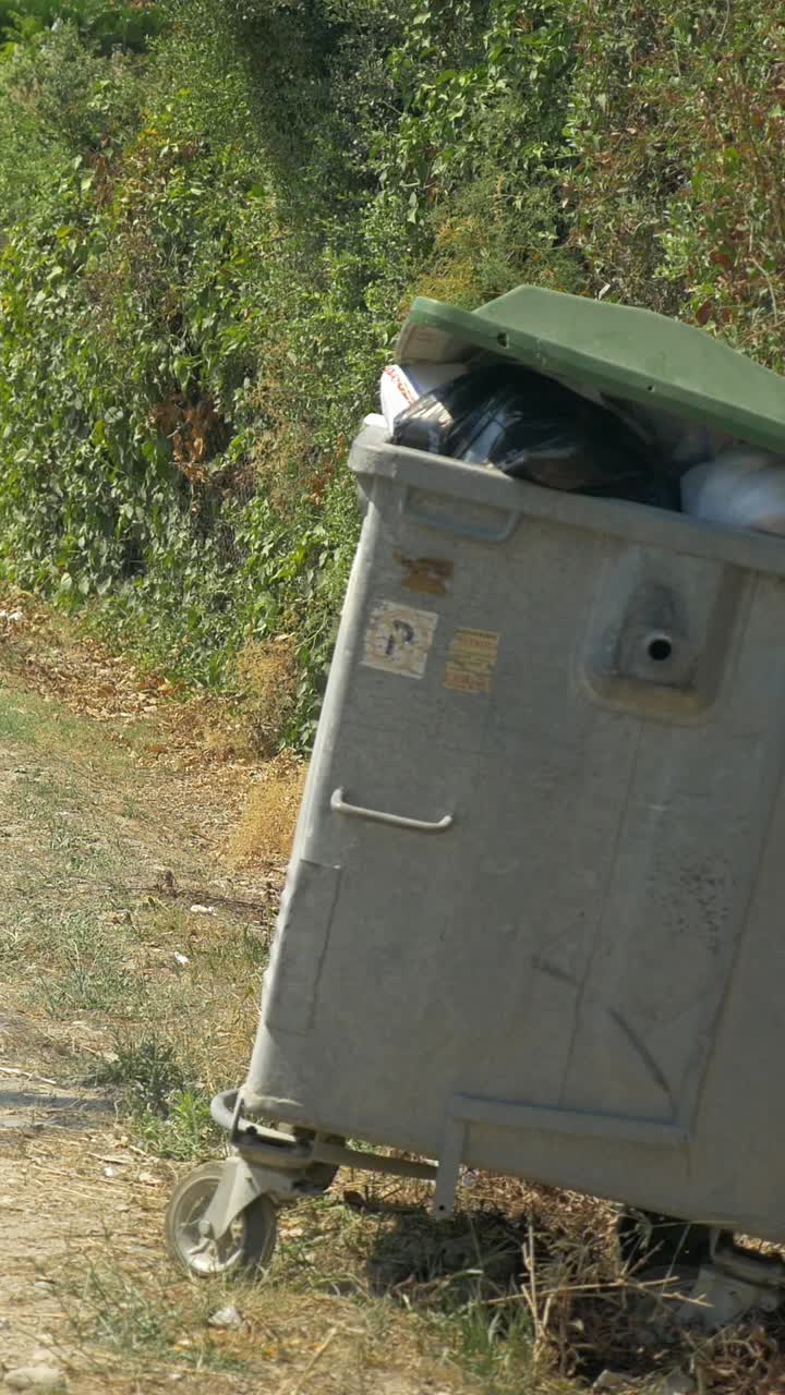 Woman Throwing Trash in Dumpster