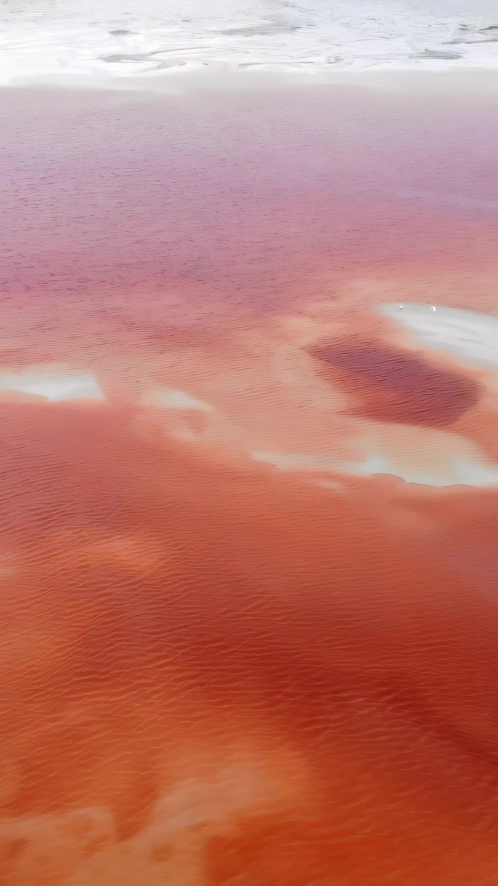Vista Aerea Lago Salato Cremisi Con Vortici Rosso Ruggine E Margini Chiari, Acque Poco Profonde Macchiate Da Minerali Creano