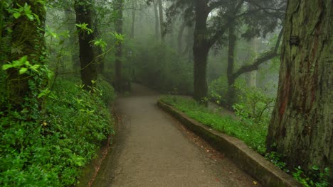 pena park - forested grounds that contains highest peak in whole sintra