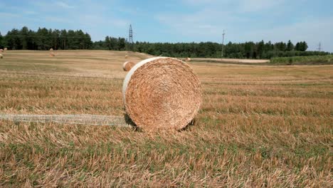 Drone-flight-around-a-rolled-hay-bale-in-a-rural-field