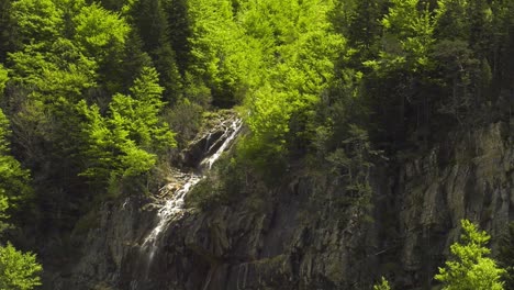 tranquil alpine waterfall on rockface with pine trees, slow motion zoom