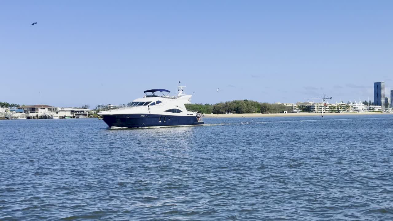 yate navegando con gaviotas en la costa dorada