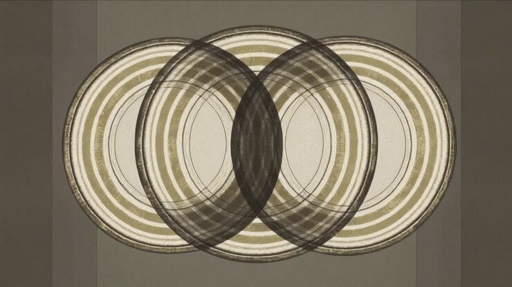 Appearing rings shifting in, darkening, adding bands, becoming bold discs on gray canvas